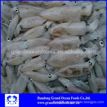 IQF baby squid for hot sale